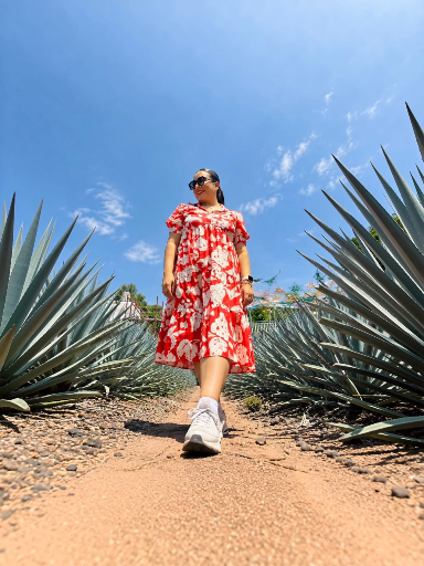 Nora Cavazos